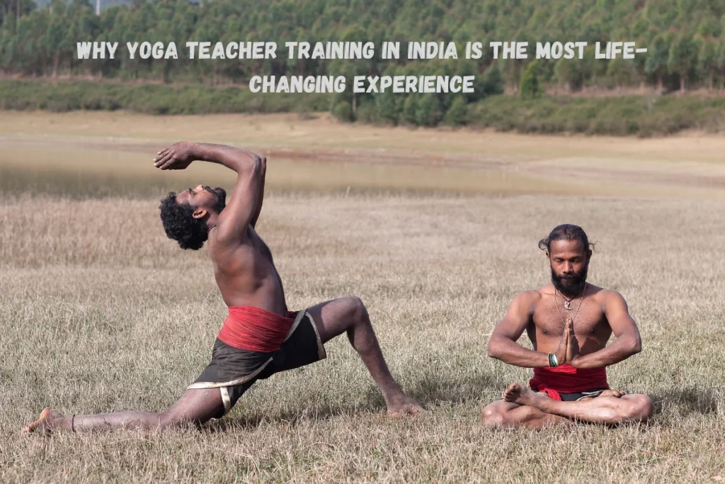 Why Yoga Teacher Training in India is the Most Life-Changing Experience