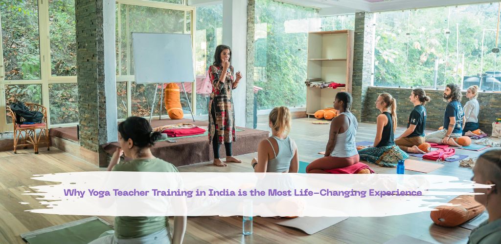 Why Yoga Teacher Training in India is the Most Life-Changing Experience