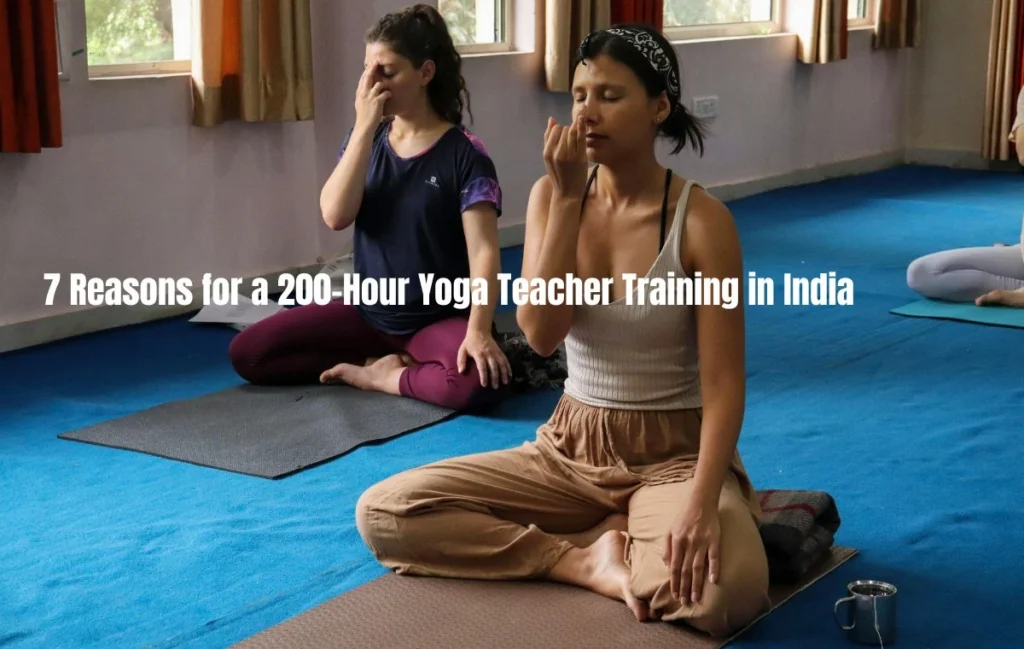 Reasons for a 200-Hour Yoga Teacher Training in India